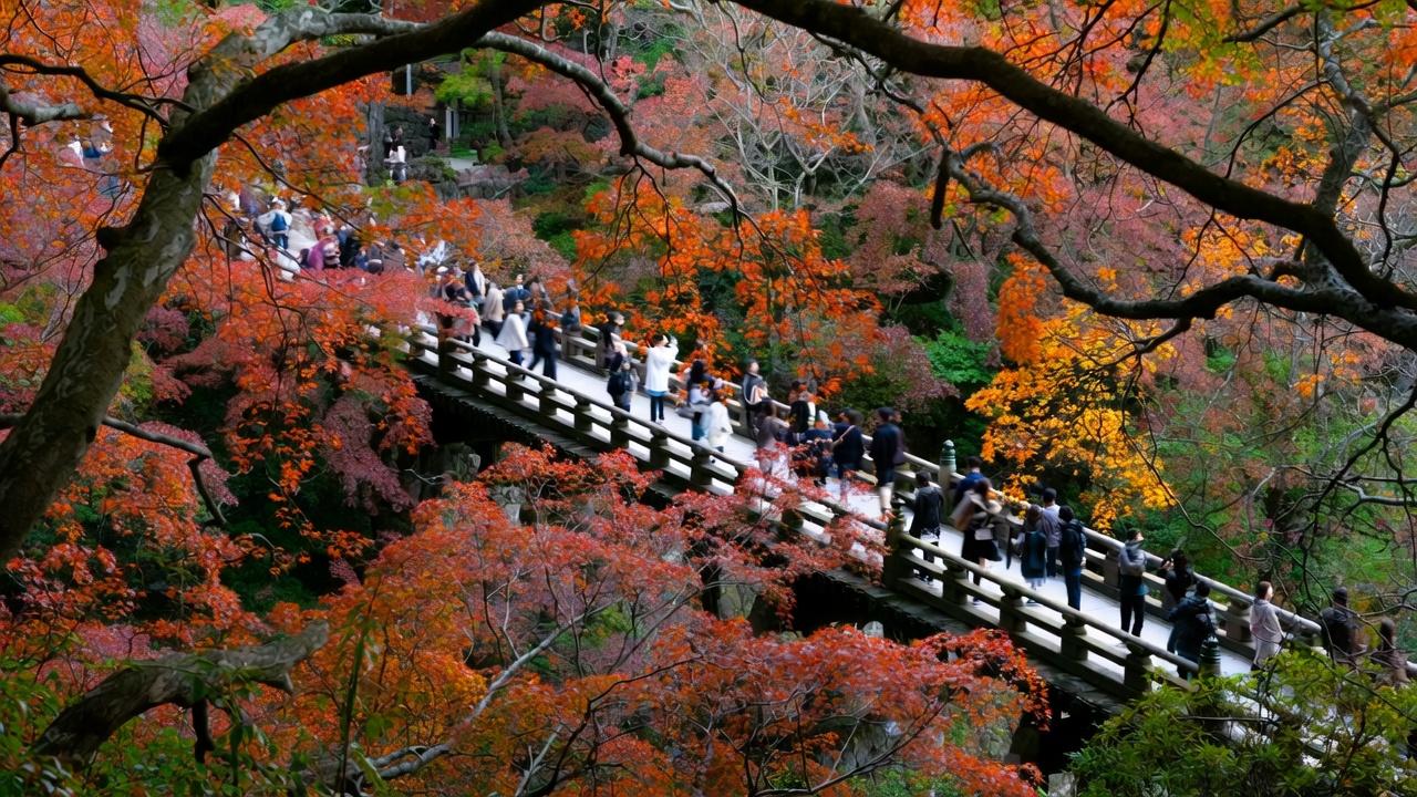 Kyoto in Autumn