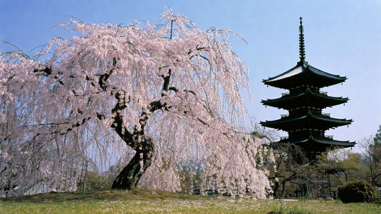 Daigo-ji Temple