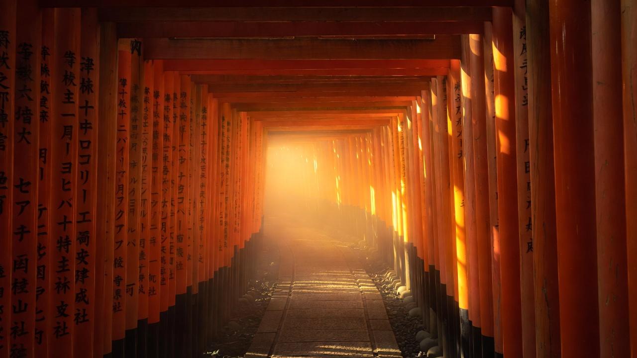 Endless vermilion torii gates tunnel at Fushimi Inari at sunrise