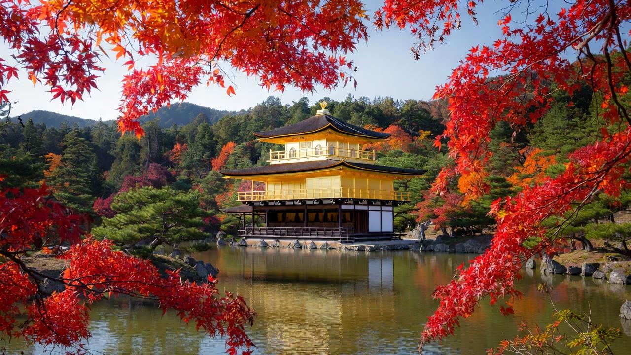 Kinkaku-ji Golden Pavilion framed by red autumn maple leaves